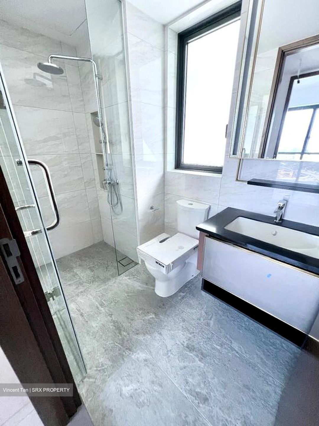 Normanton Park (D5), Apartment #461318001